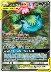 Venusaur e Snivy GX