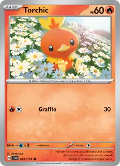 Torchic