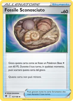 Fossile Sconosciuto