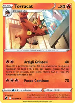 Torracat