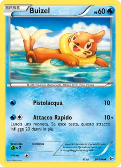 Buizel